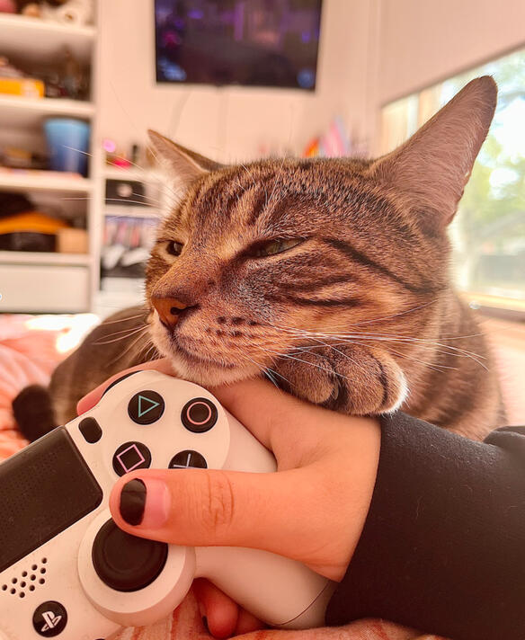 An old image of Riley, with his hair still grown out a few inches. His glasses are tilted downwards, looking at something. We see him through the gap between two bookshelves, with a dozen books in a row sat in the foreground of the image.