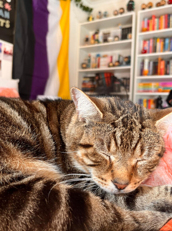 An old image of Riley, with his hair still grown out a few inches. His glasses are tilted downwards, looking at something. We see him through the gap between two bookshelves, with a dozen books in a row sat in the foreground of the image.